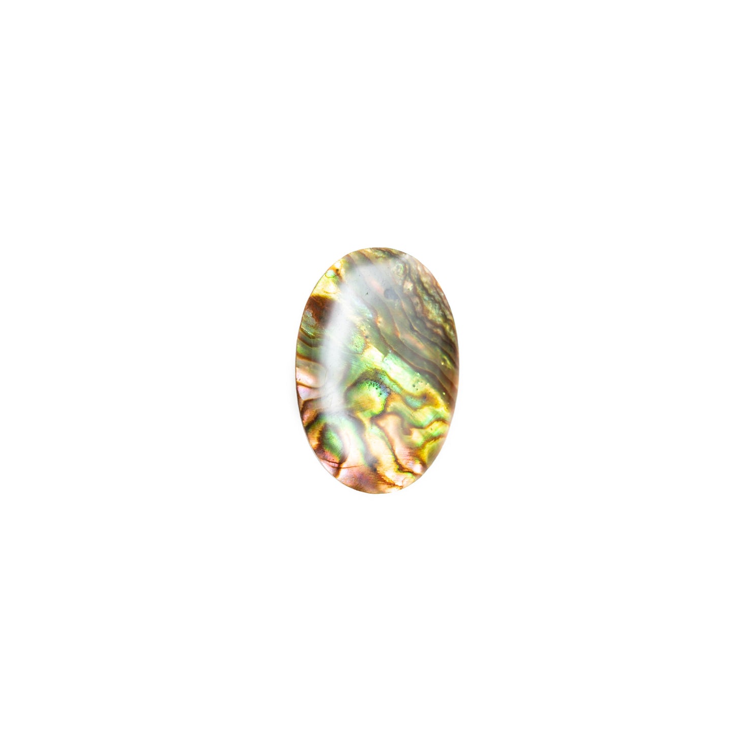 Abalone Shell Oval Button