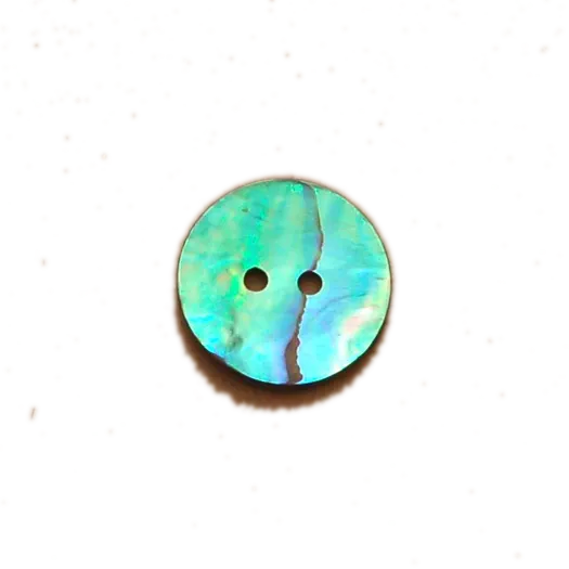 Togl Mexican Abalone Shell Round 23MM