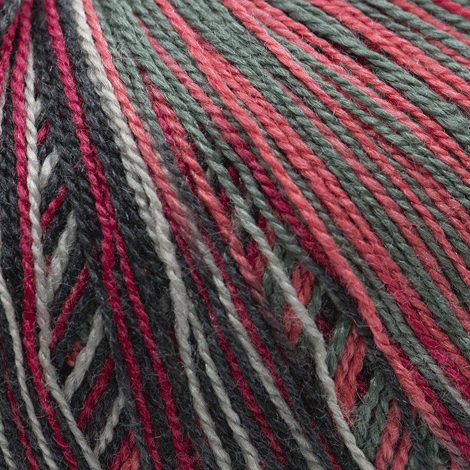 Cascade Yarns Forest Hills Multi