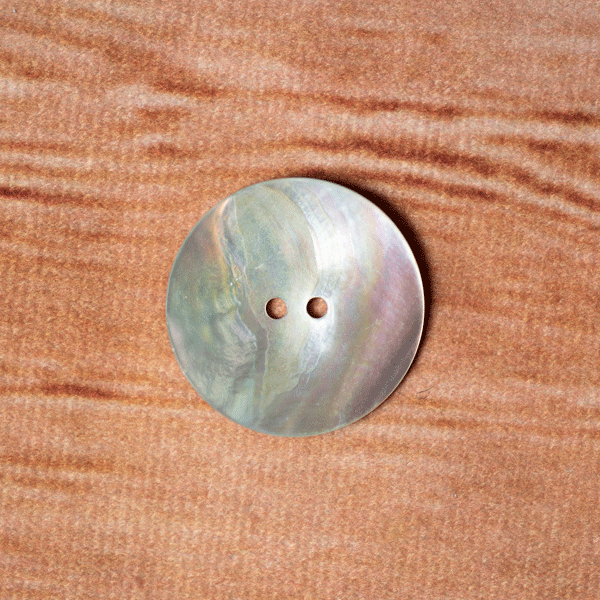 Dill Buttons Abalone Shell