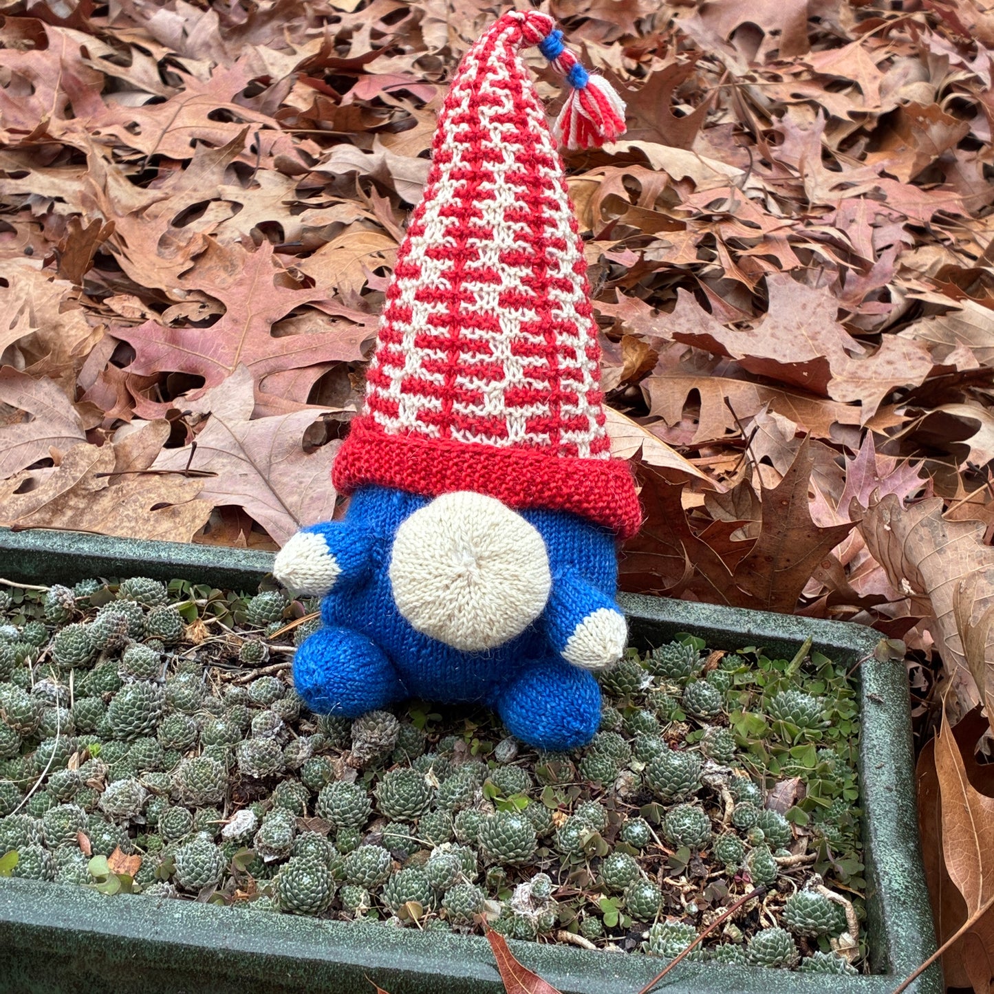 Gnifty - The More You Gnome