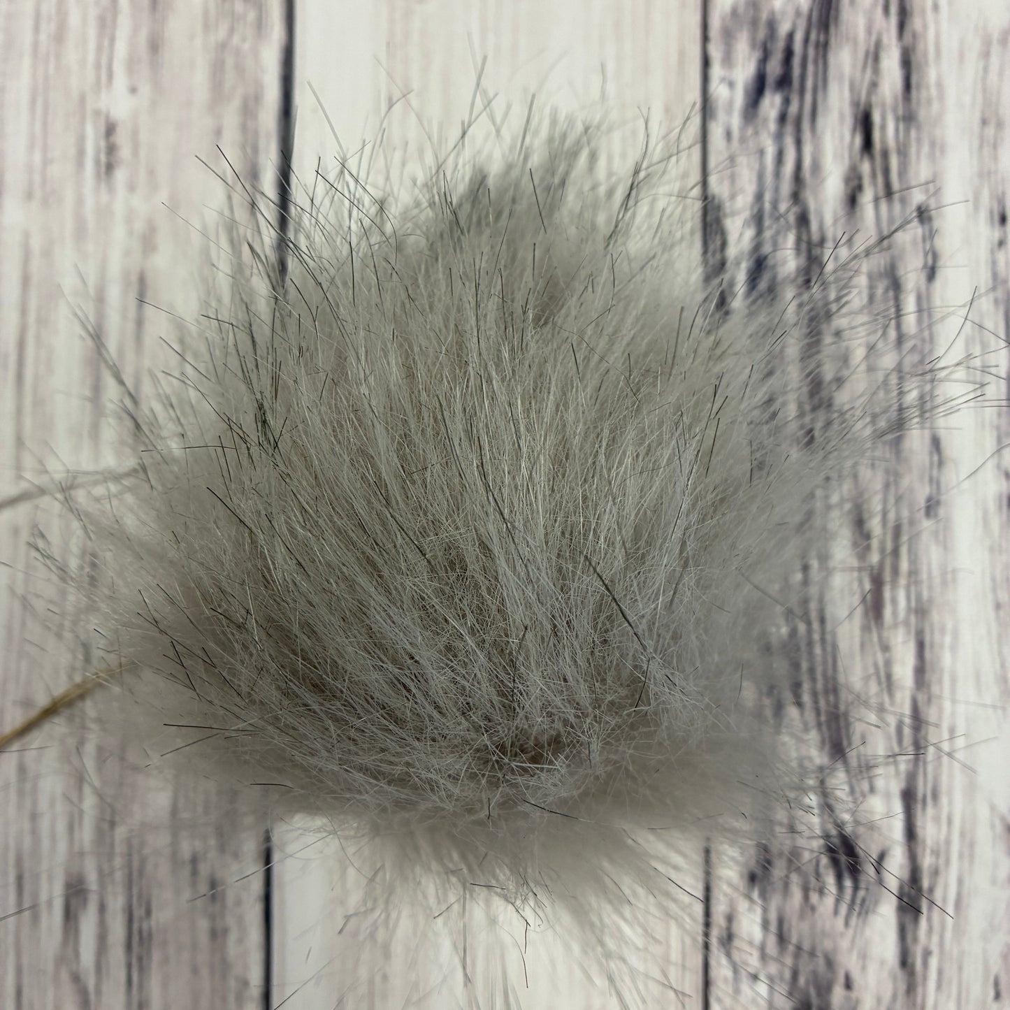 Pom Poms