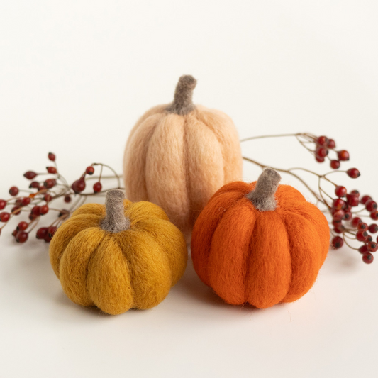 Felted Sky Felting Kits